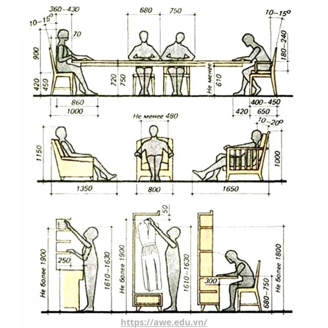 Nhân trắc học là gì? Nhân trắc học trong thiết kế nội thất