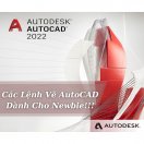 Các Lệnh Vẽ AutoCAD Dành Cho Người Mới!!!