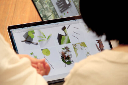 Học thiết kế online miễn phí một cách hiệu quả như nào?