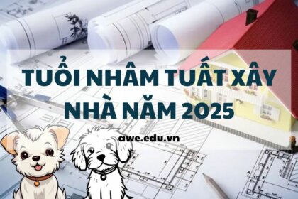 Tuổi Nhâm Tuất xây nhà năm 2025: Nên hay không?