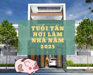 tuoi-tan-hoi-lam-nha-nam-2025