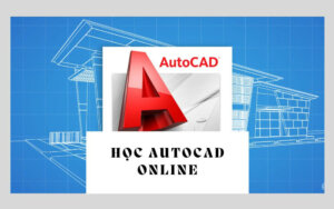 hoc-autocad-online