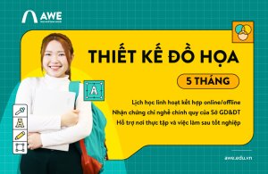 Thiết kế đồ họa 5 tháng