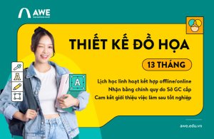 Thiết kế Đồ họa 13 tháng