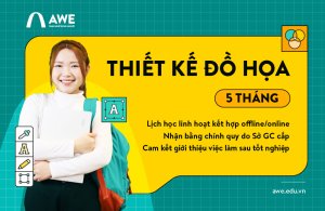 Thiết kế Đồ họa 5 tháng