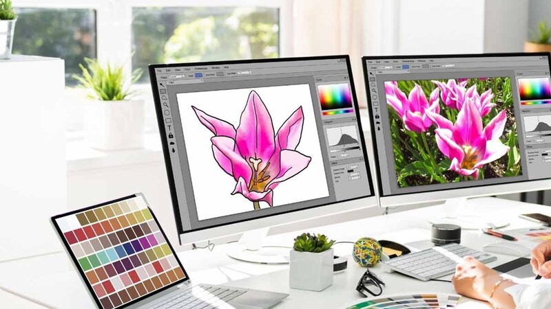 Thiết kế đồ họa thi khối A1