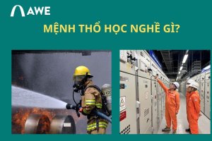 mệnh thổ học nghề gì