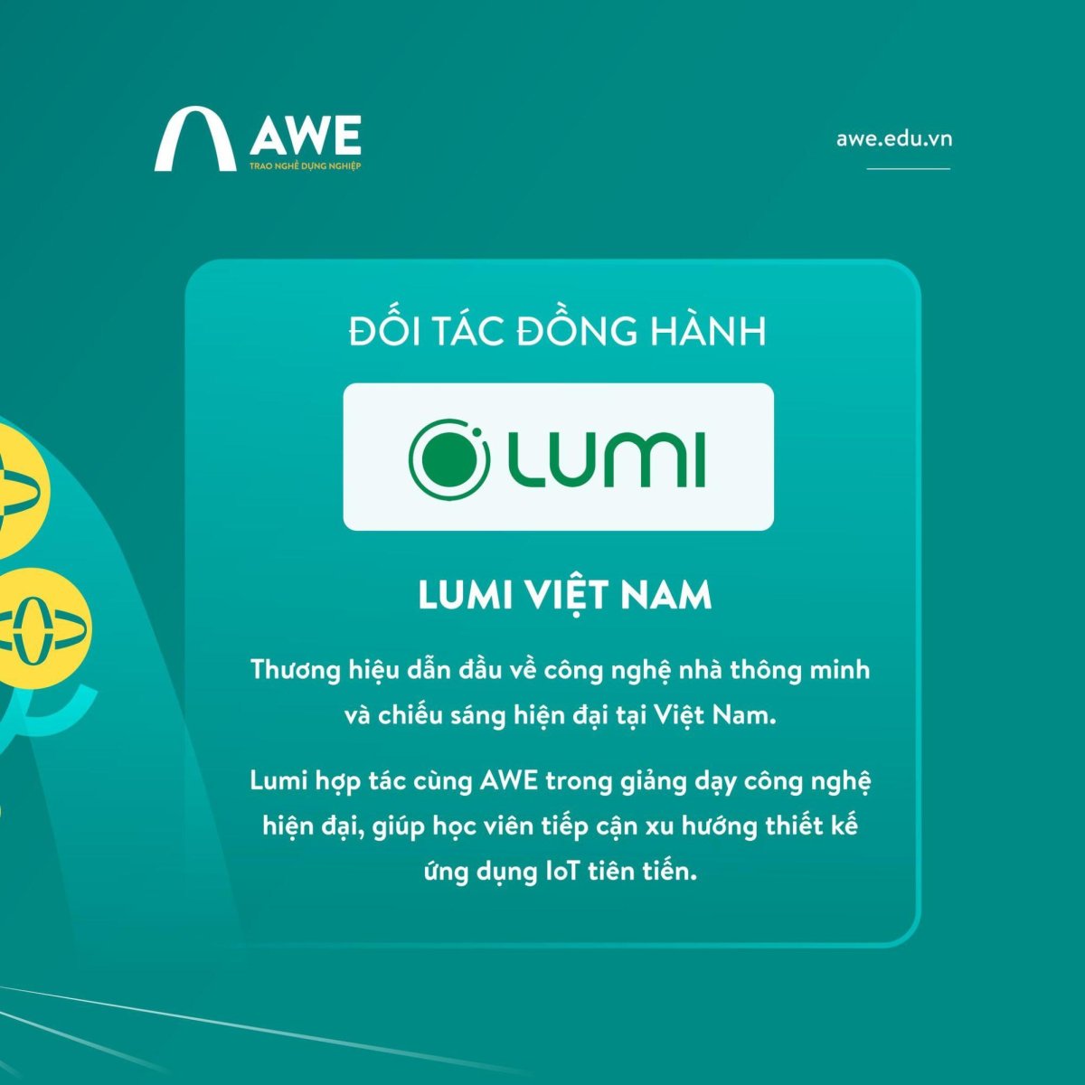 Sự đồng hành của Lumi Việt Nam